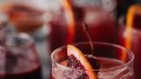 Blood Orange Bourbon Sour Cocktail Blood Orange Bourbon Sour Cocktail