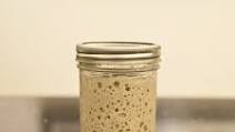 How to make and maintain a sourdough starter How to make and maintain a sourdough starter