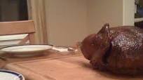 Emergency Room Roast Duck Emergency Room Roast Duck