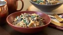 Venison Stroganoff Venison Stroganoff