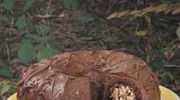 Chocolate Coconut Tube Cake Chocolate Coconut Tube Cake