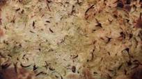 Focaccia pugliese alle cipolle Focaccia pugliese alle cipolle