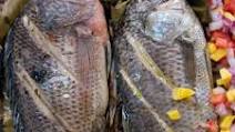Pinaputok na Tilapia Recipe Pinaputok na Tilapia Recipe