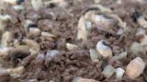 Ground Beef Stroganoff With Cream Cheese Recipe Ground Beef Stroganoff With Cream Cheese Recipe