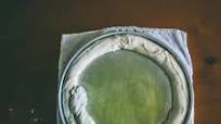Homemade Spanakopita Recipe Homemade Spanakopita Recipe
