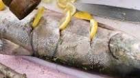 Whole BBQ salmon Whole BBQ salmon