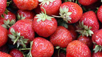 Spring Strawberry Soup Spring Strawberry Soup