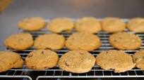 Chocolate Chip Cookies Chocolate Chip Cookies