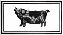 Pork ciste. Pork ciste.