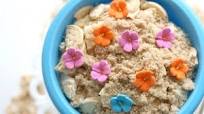 Golden Oreo Dirt Recipe Golden Oreo Dirt Recipe