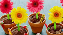 Ice Cream Flower Pot Desserts Ice Cream Flower Pot Desserts