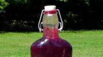 Homemade Blueberry Syrup with Honey Homemade Blueberry Syrup with Honey