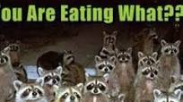 My Mom's Barbecued Raccoon My Mom's Barbecued Raccoon