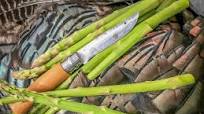 Traeger Grilled Creamed Wild Asparagus Recipe Traeger Grilled Creamed Wild Asparagus Recipe