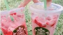 Gummy Bear Juice Gummy Bear Juice