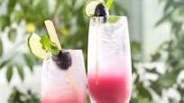 Vodka and Grape Juice Recipe Vodka and Grape Juice Recipe