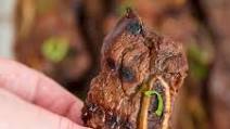 Korean Short Ribs Korean Short Ribs