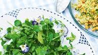 Pea shoot salad Pea shoot salad