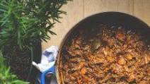 Moose Shoulder Ragù | Moose Recipes + Tips + Techniques Moose Shoulder Ragù | Moose Recipes + Tips + Techniques