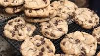 Bakery Soft Chocolate Chip Cookies Bakery Soft Chocolate Chip Cookies
