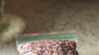 Instant Pot Lectin Free Beans (No Soak & Ready For Meal Prep) Instant Pot Lectin Free Beans (No Soak & Ready For Meal Prep)