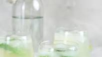 Lime Rickey Recipe Lime Rickey Recipe