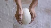 Basic Pizza Dough Basic Pizza Dough