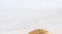 Keto Dinner Rolls (No Cheese) Keto Dinner Rolls (No Cheese)