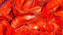 Seafood Chili Seafood Chili