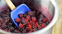 Blackberry Syrup Recipe Blackberry Syrup Recipe