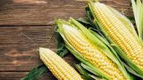 Finger-Licking Corn Recipes Finger-Licking Corn Recipes