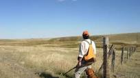 The Cure for Sharptails: or any other bird you don’t particularly love to eat The Cure for Sharptails: or any other bird you don’t particularly love to eat