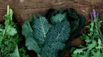 Classic Kale Juice Cleanse Classic Kale Juice Cleanse