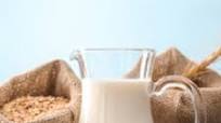 Ace Blender - Oat Milk Ace Blender - Oat Milk