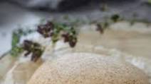 Easy Whole Wheat Pizza Dough Easy Whole Wheat Pizza Dough