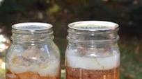 Canned Pork Recipe Canned Pork Recipe