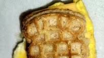 Eggo Mini Cinnamon Toast Breakfast Sandwich Eggo Mini Cinnamon Toast Breakfast Sandwich
