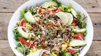 Carnitas Salad Bowl Carnitas Salad Bowl