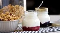 Fruit-Bottom Yogurt Fruit-Bottom Yogurt