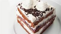 Chocolate Cream Torte Chocolate Cream Torte