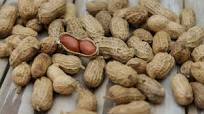 Cacahuetes, una legumbre muy sana de la que no debes abusar Cacahuetes, una legumbre muy sana de la que no debes abusar