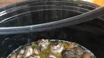 Crock-Pot® Mushrooms Crock-Pot® Mushrooms