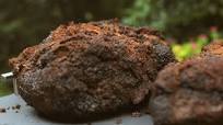 The Best Smoked Brisket Recipe The Best Smoked Brisket Recipe