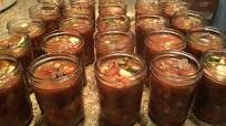 Bonnie's Easy Venison Stew Bonnie's Easy Venison Stew