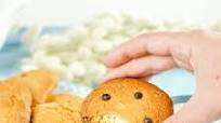 TikTok Small Batch Chocolate Chip Cookies Recipe TikTok Small Batch Chocolate Chip Cookies Recipe