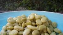 Easy Lima Beans Easy Lima Beans