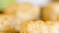 Everyday Biscuits Everyday Biscuits