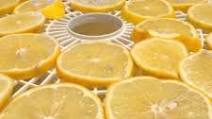 Homemade Dried Lemons Homemade Dried Lemons