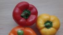 Stuffed Peppers Without Rice (Keto-Friendly) Stuffed Peppers Without Rice (Keto-Friendly)