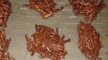 Weight Watchers Chocolate Peanut Butter Candy Weight Watchers Chocolate Peanut Butter Candy